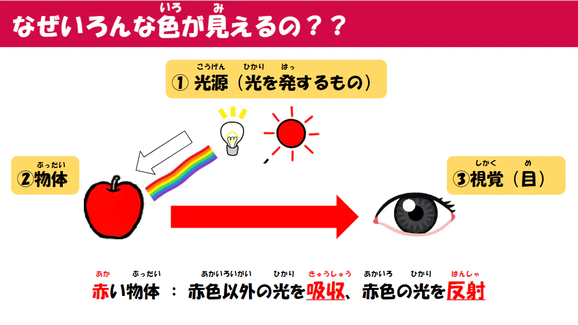 赤いりんごは赤色の光を反射するため赤く見える